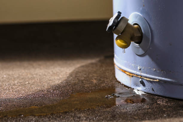 Best Water damage restoration services  in Eastlawn Gardens, PA