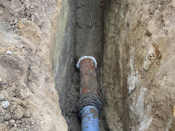 Best Flood restoration services  in Eastlawn Gardens, PA