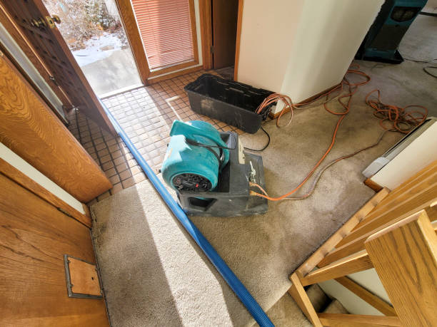 Best Water damage contractors near me  in Eastlawn Gardens, PA