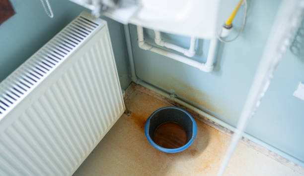 Best Flood damage cleanup  in Eastlawn Gardens, PA