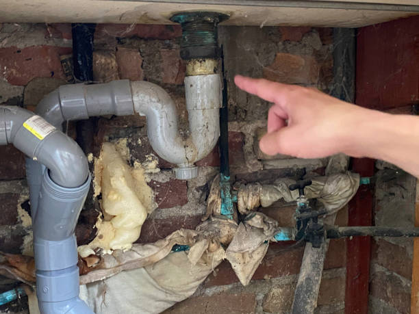 Best Professional water damage repair  in Eastlawn Gardens, PA