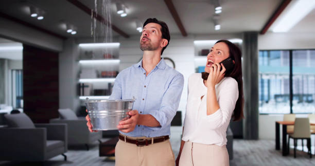 Best Residential water damage restoration  in Eastlawn Gardens, PA