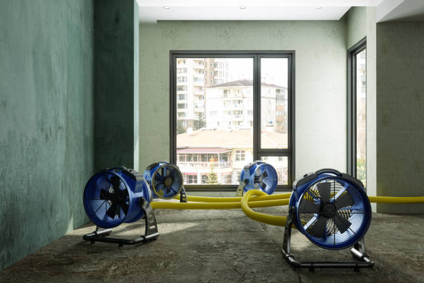 Best 24-hour water damage restoration  in Eastlawn Gardens, PA