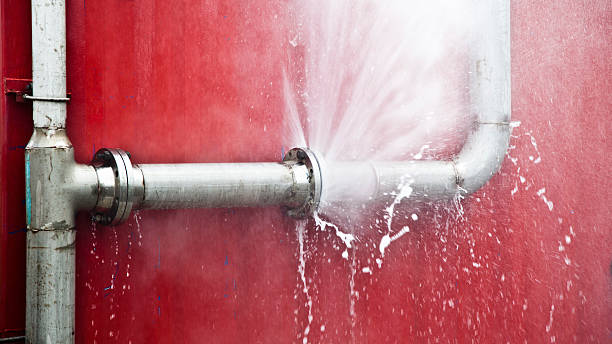 Best Mold removal after water damage  in Eastlawn Gardens, PA