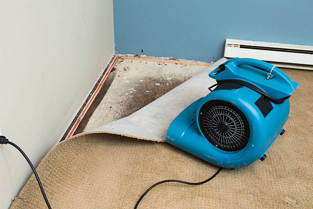 Best Carpet water damage restoration  in Eastlawn Gardens, PA
